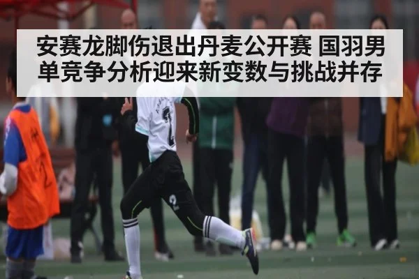 安赛龙脚伤退出丹麦公开赛 国羽男单竞争分析迎来新变数与挑战并存